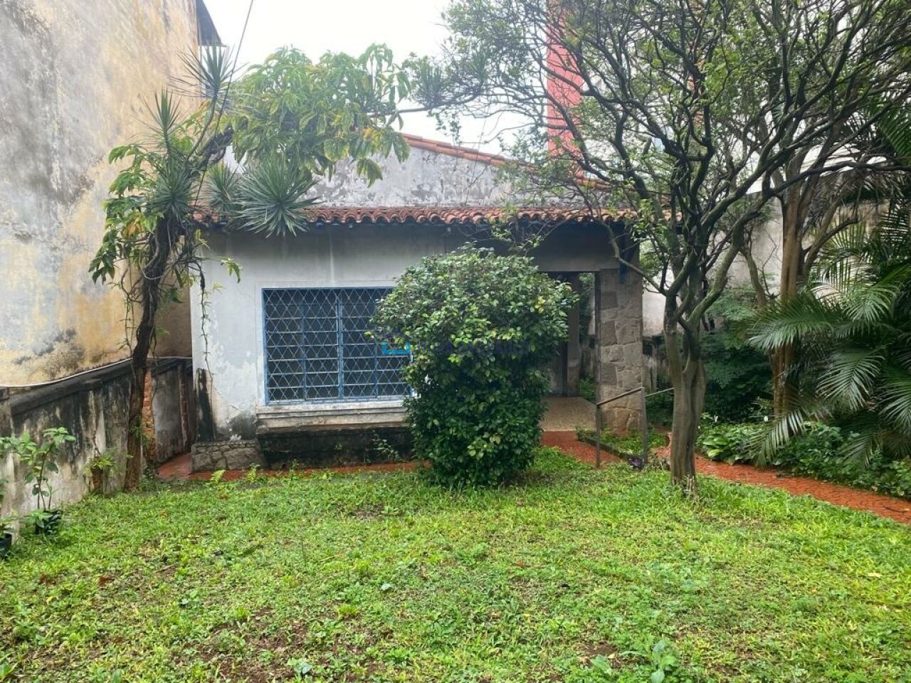 Foto 2 - BI51981