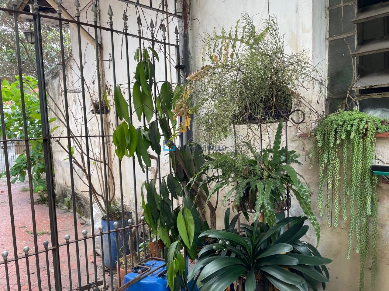 Foto 6 - BI52409
