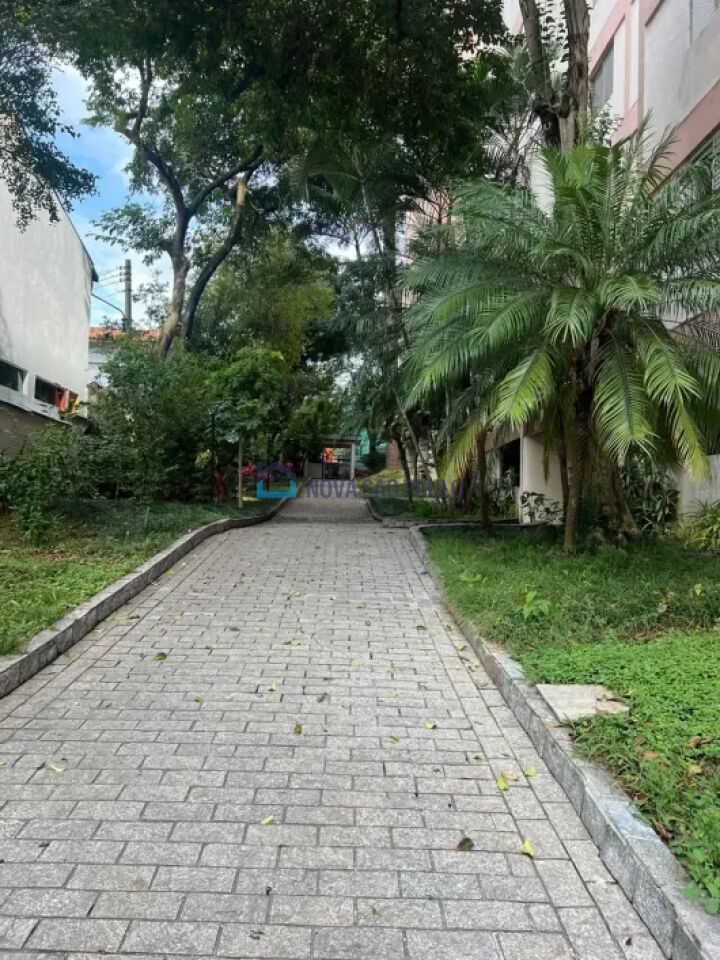 Foto 16 - BI53017