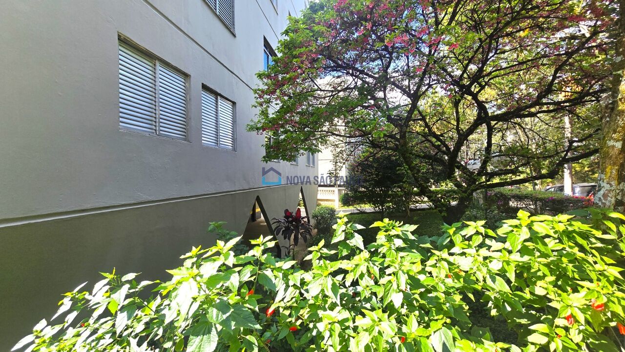 Foto 5 - BI53064