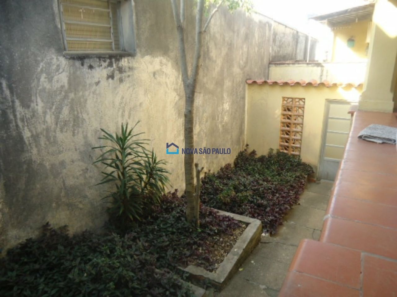Foto 3 - BI53240
