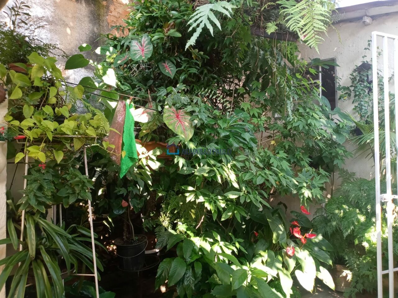 Foto 5 - JA35457