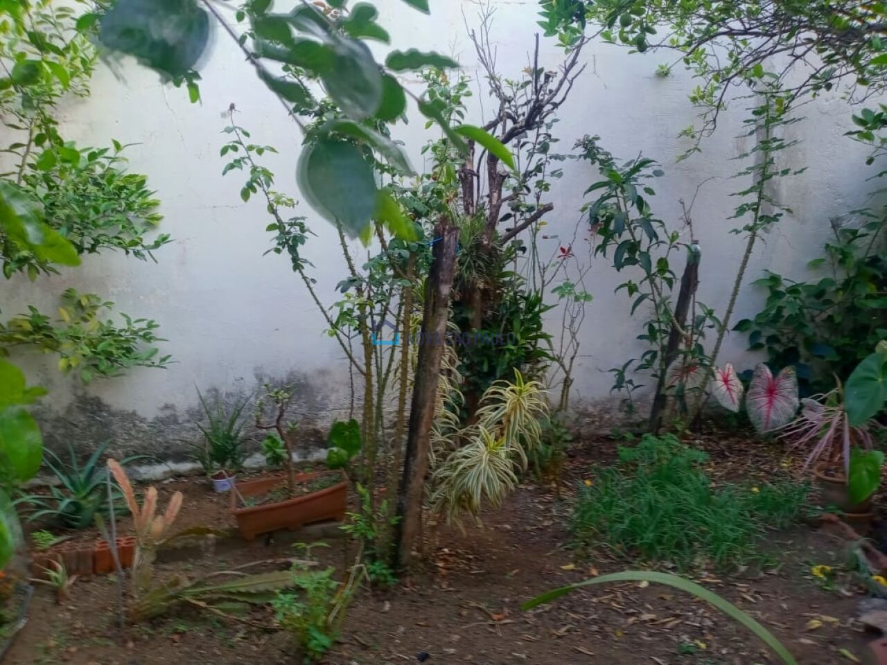 Foto 28 - JA38627