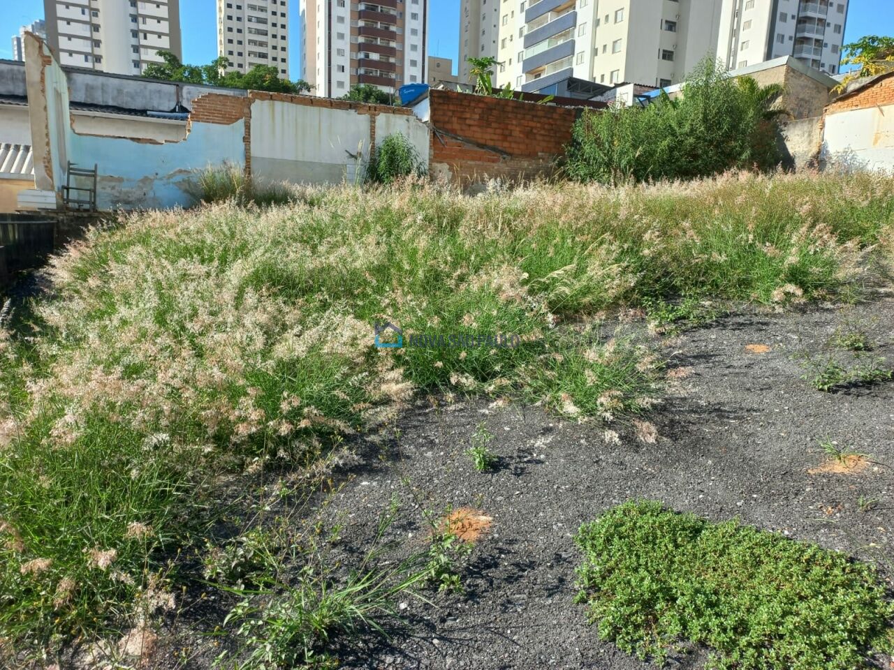 Foto 3 - JA39836
