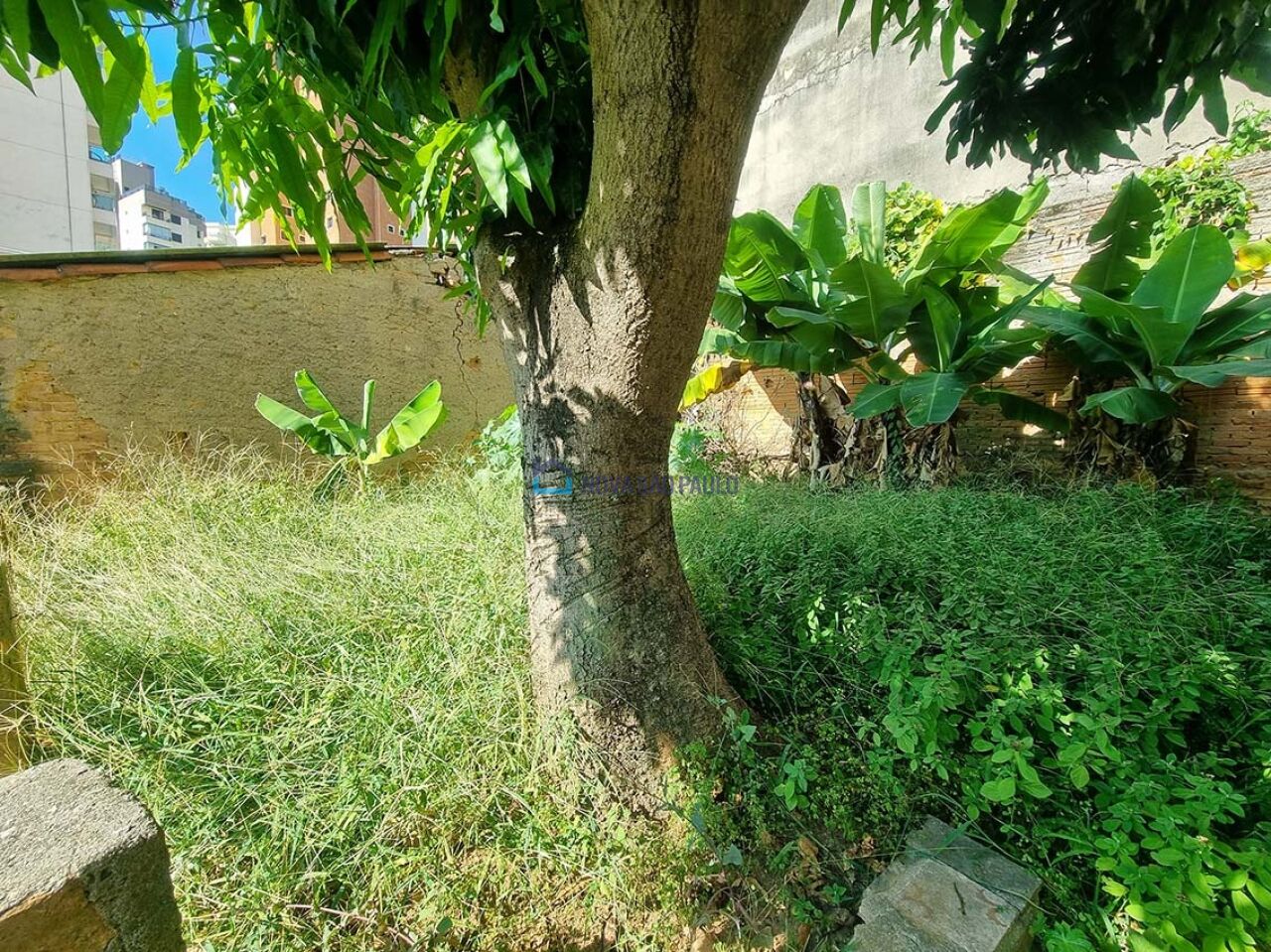 Foto 23 - JA40272