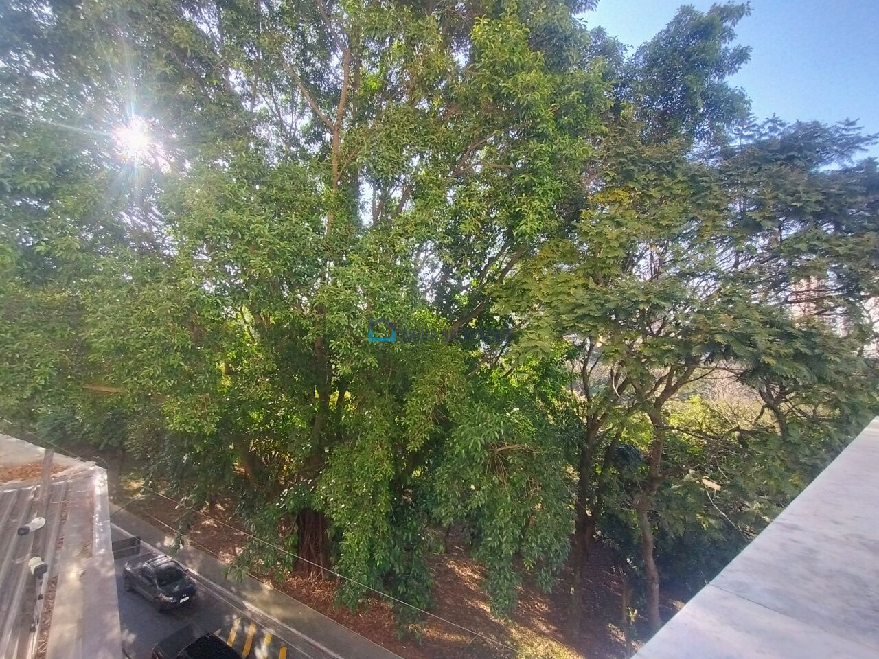 Foto 36 - JA41417
