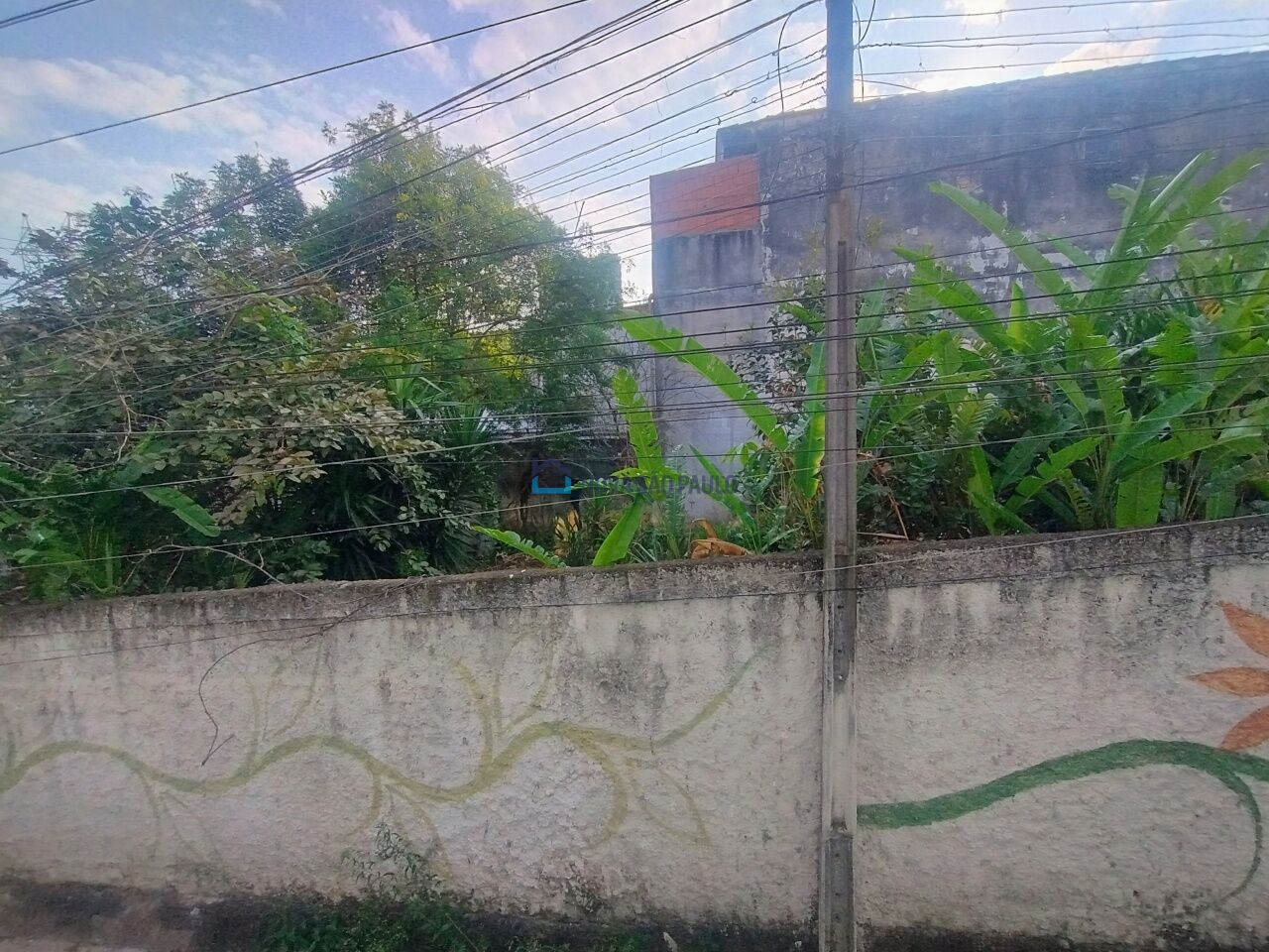 Foto 12 - JA41444