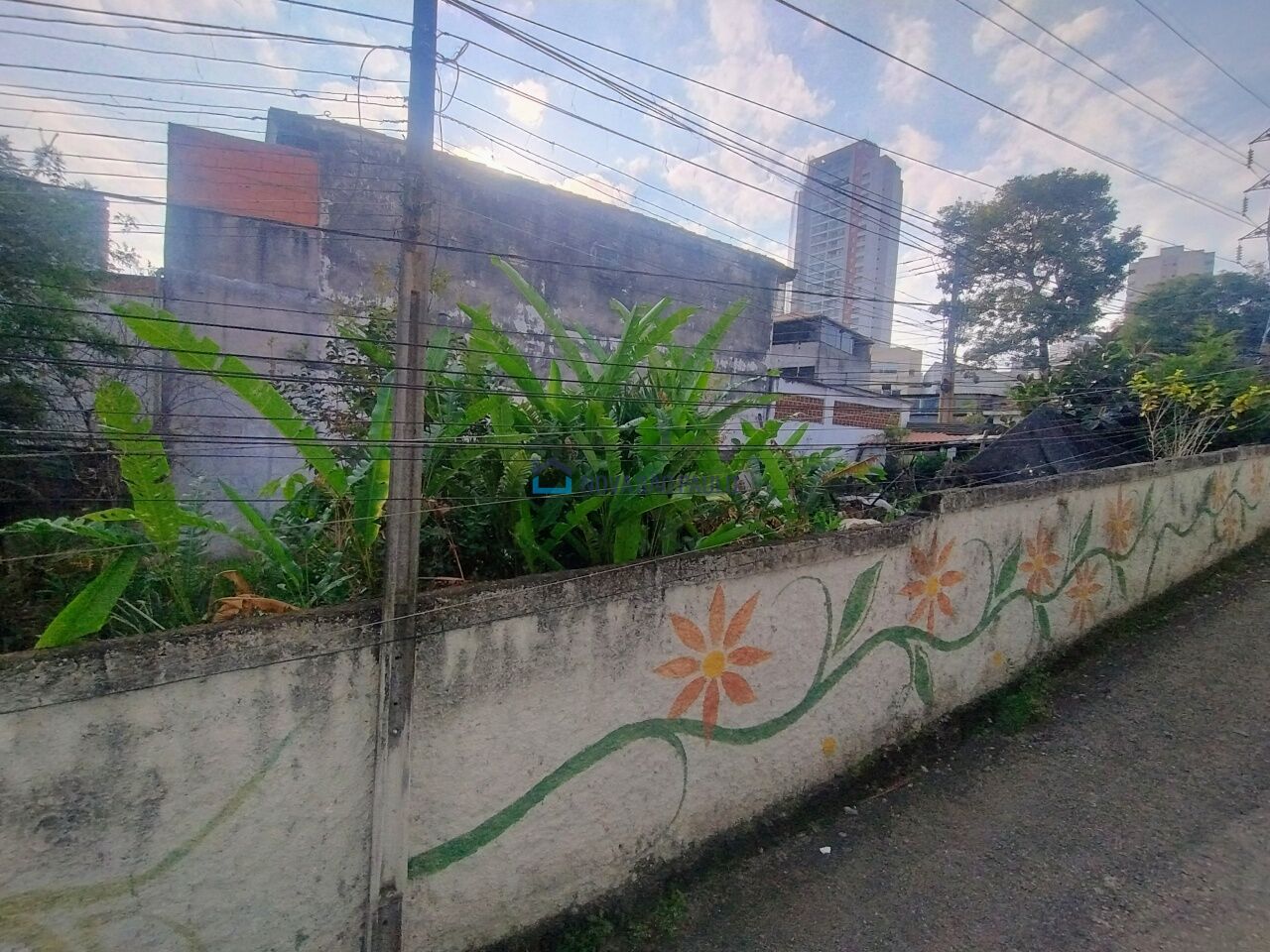 Foto 14 - JA41444
