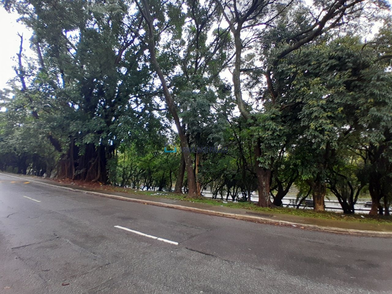 Foto 47 - JA41518