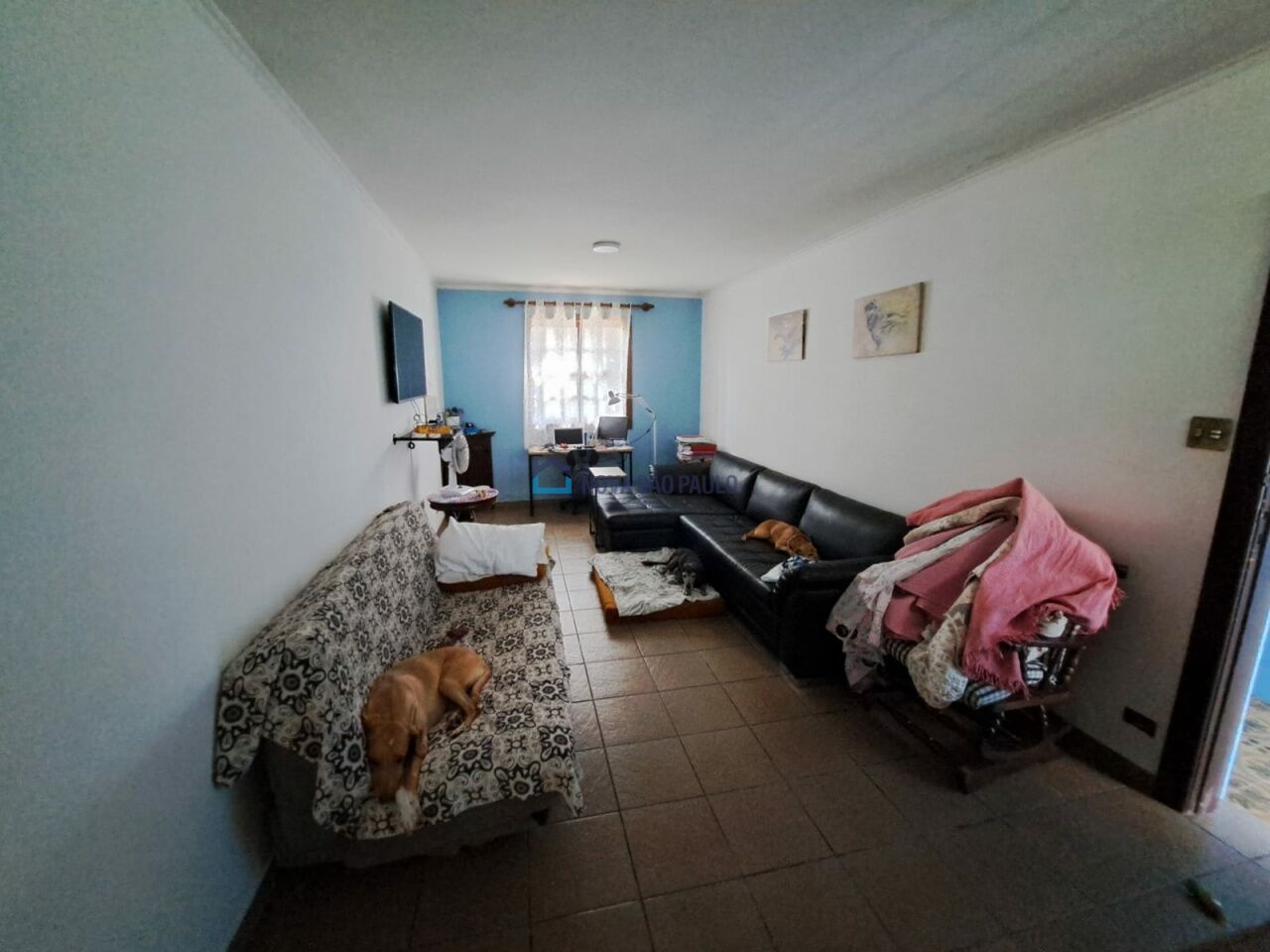 Foto 8 - JA41810