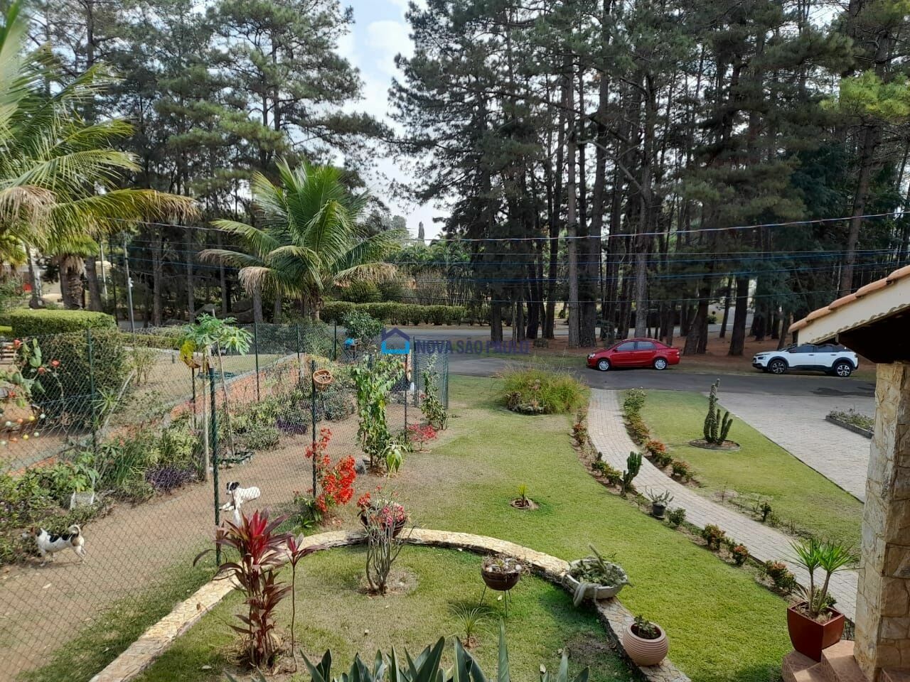 Foto 12 - JA42493