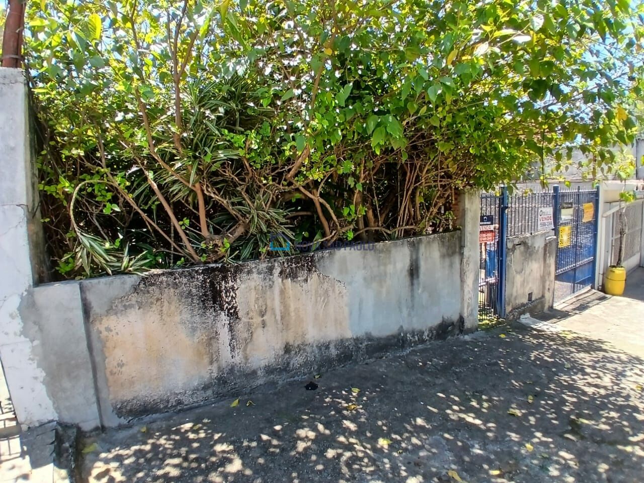 Foto 26 - JA43109