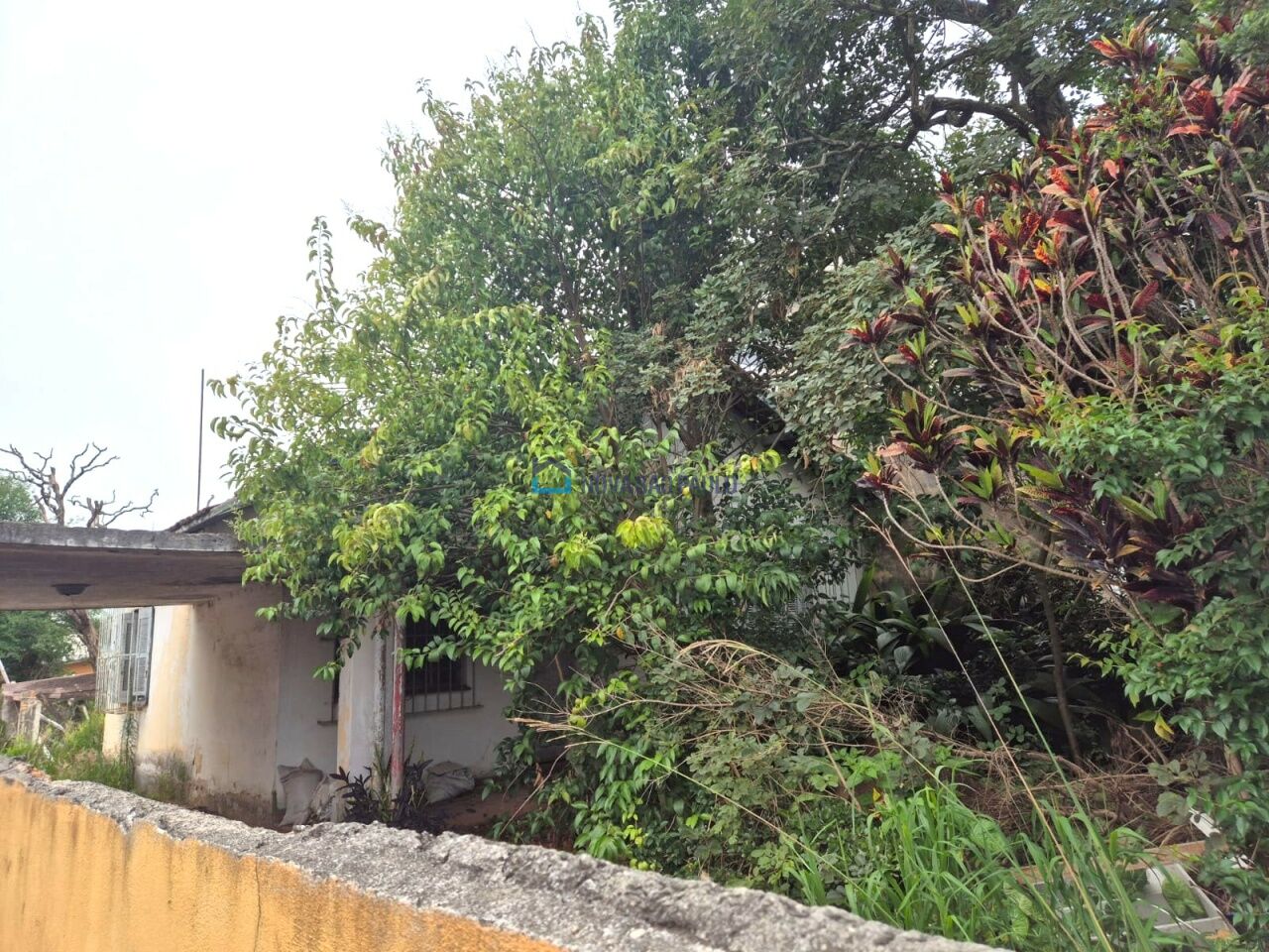 Foto 5 - JA43121