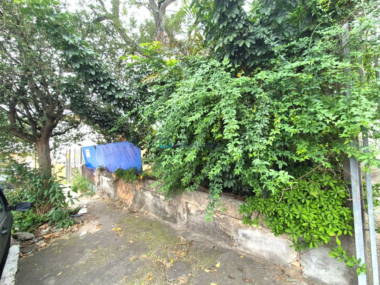Foto 6 - JA43121