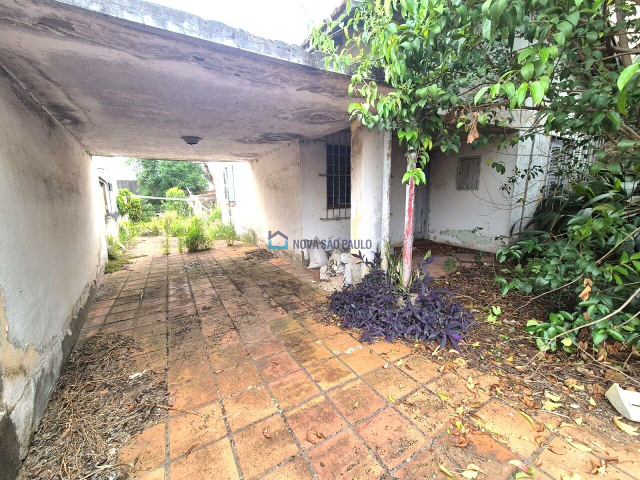Foto 19 - JA43121