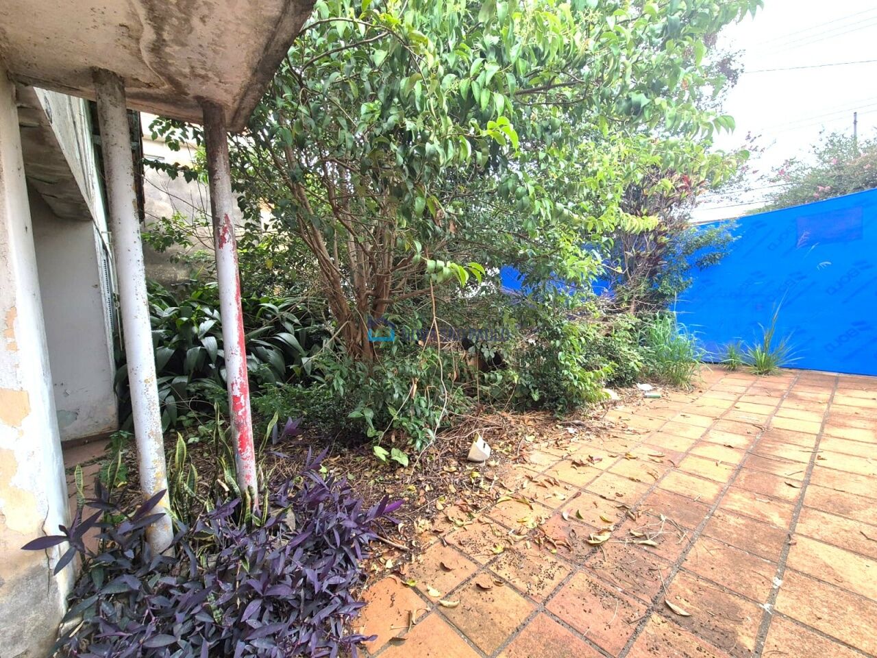 Foto 9 - JA43121