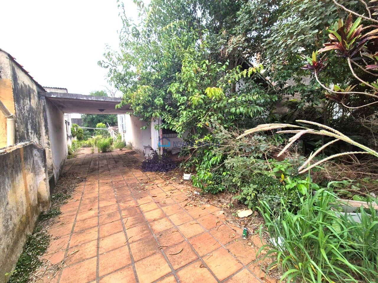 Foto 20 - JA43121