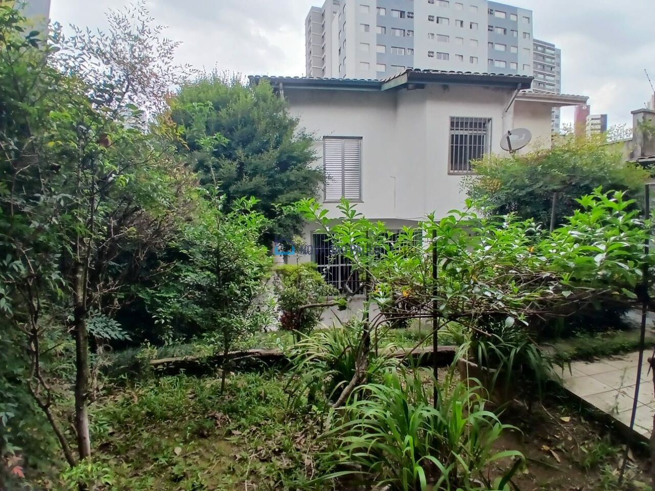 Foto 46 - JA43235