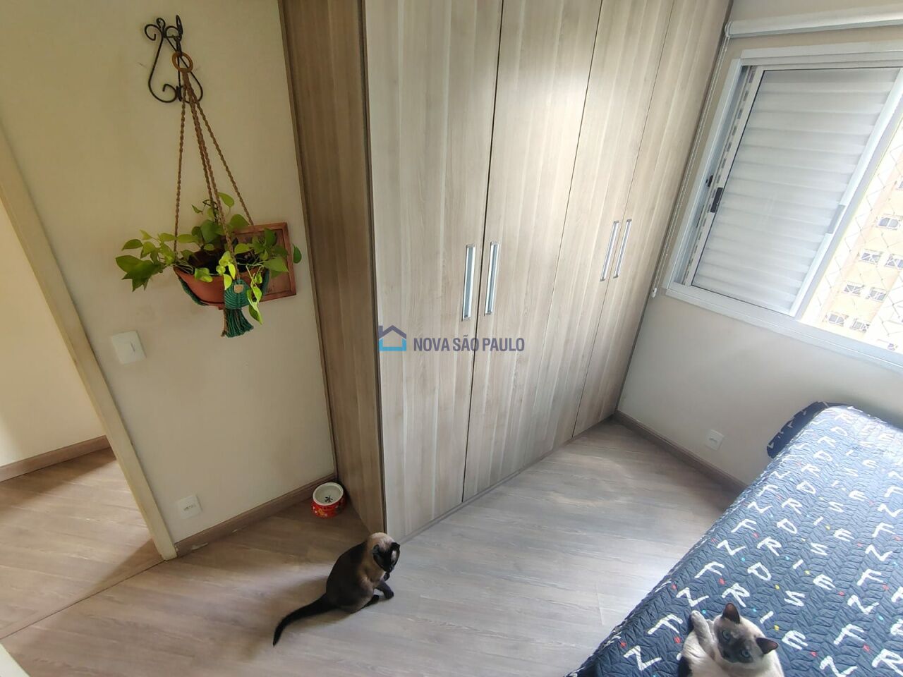 Foto 18 - JA43500