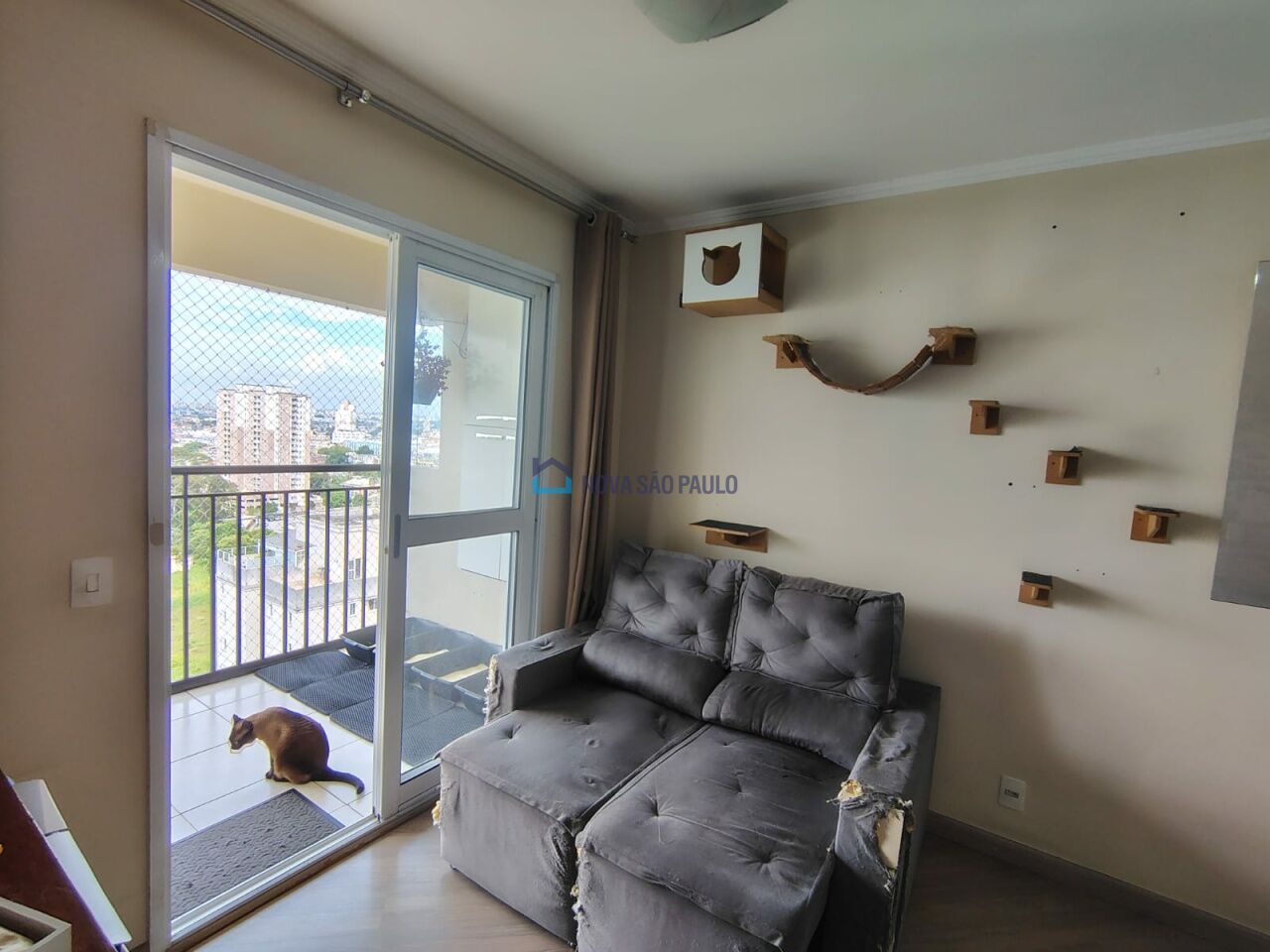 Foto 8 - JA43500