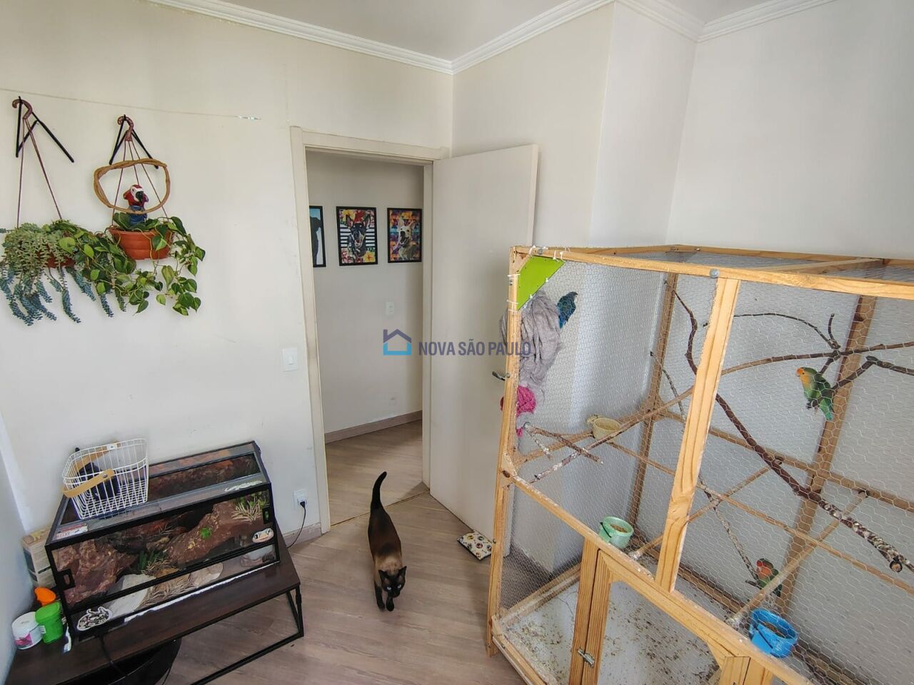 Foto 20 - JA43500
