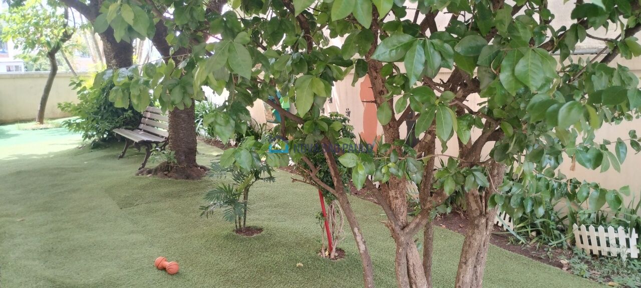 Foto 32 - JA43552