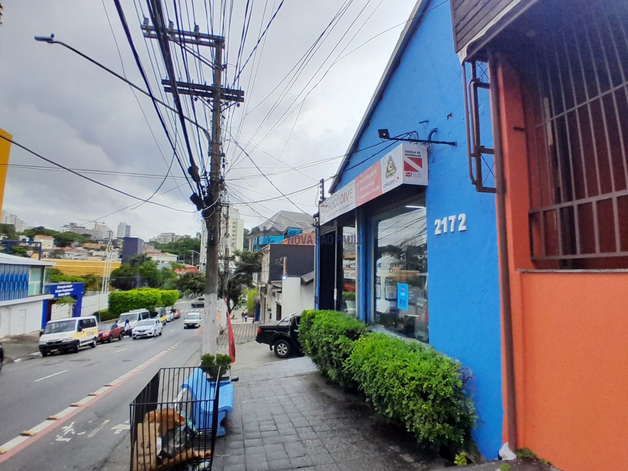 Foto 22 - JA43556