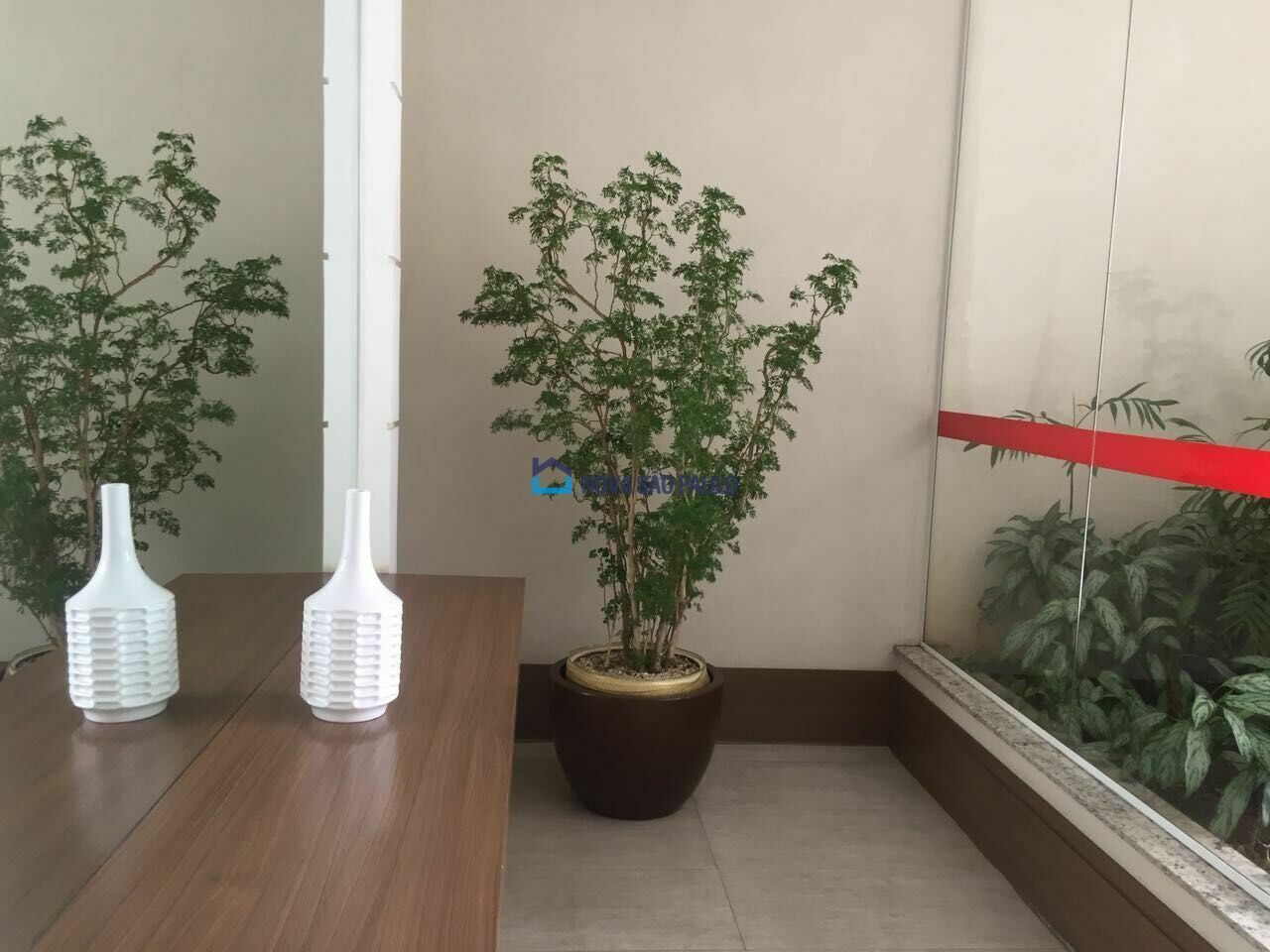 Foto 37 - JA43557