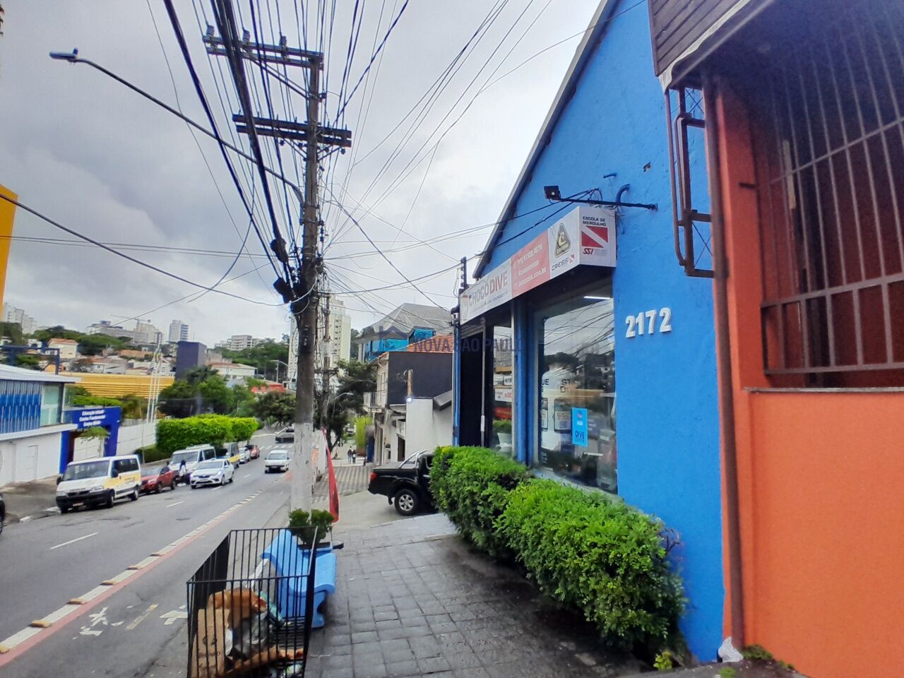Foto 23 - JA43557