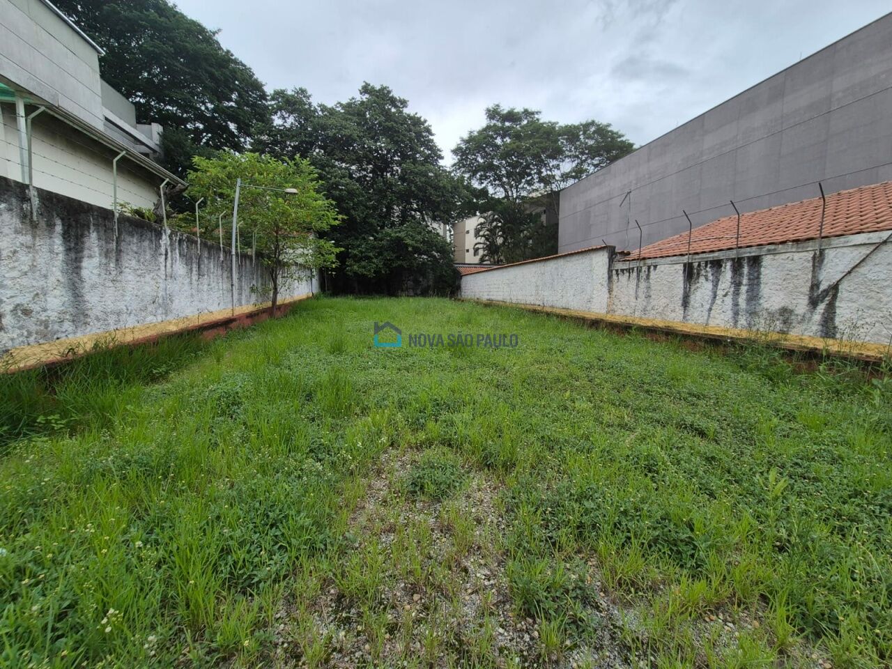 Foto 3 - JA43673