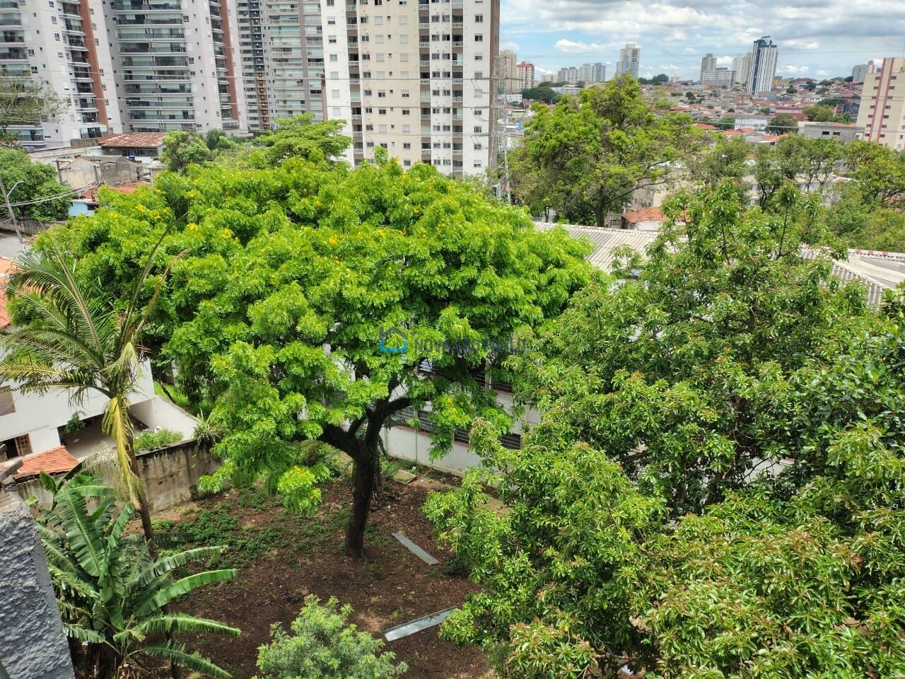 Foto 11 - JA44282