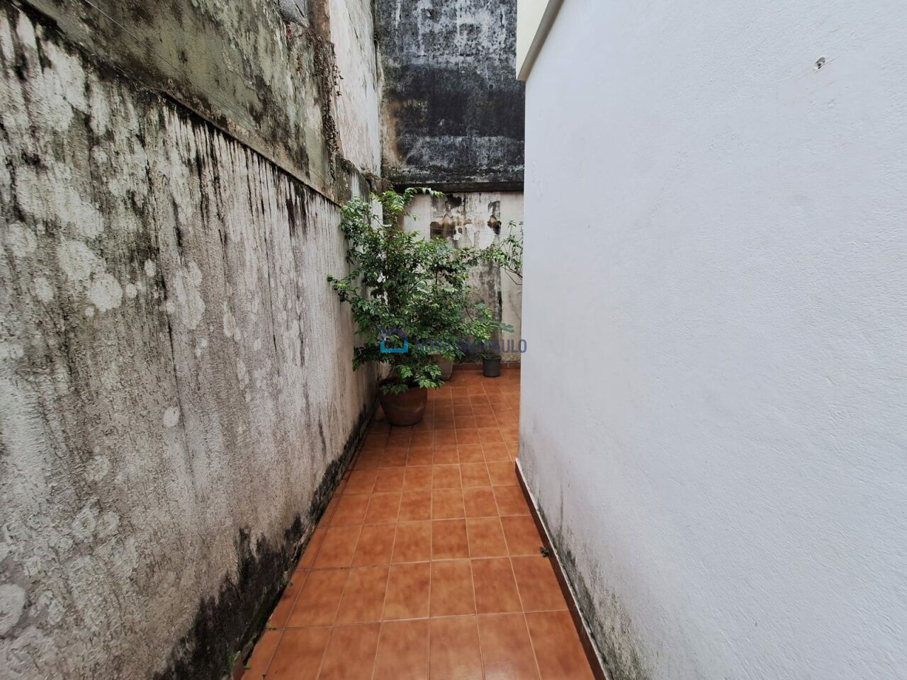 Foto 24 - JA44364