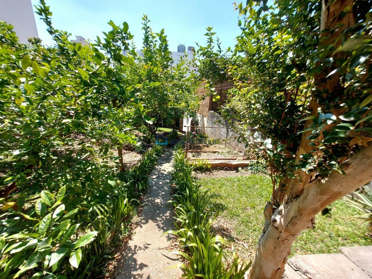Foto 10 - JA44755
