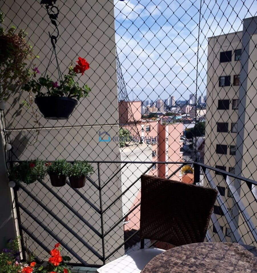 Foto 7 - JA44806