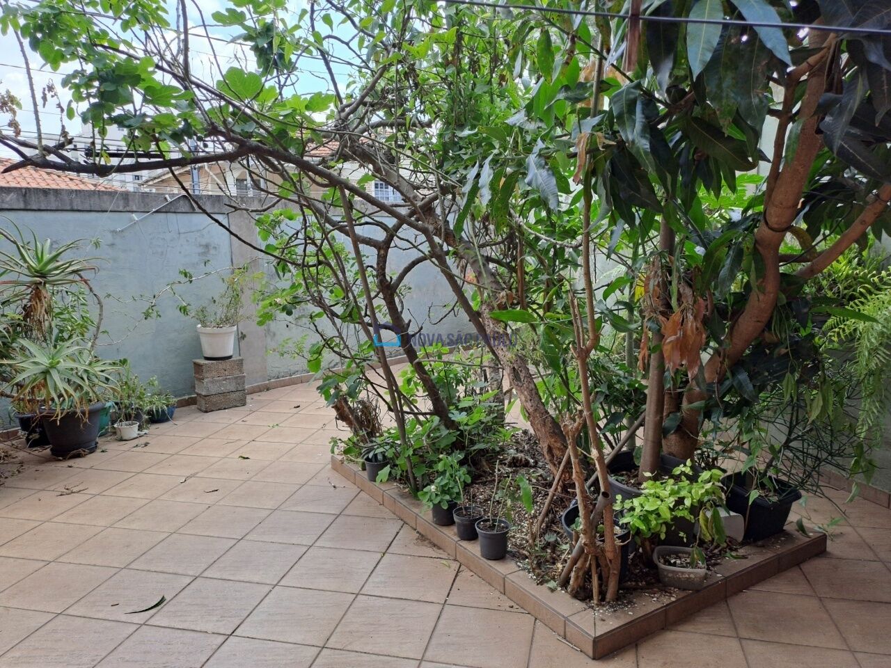 Foto 21 - JA44893