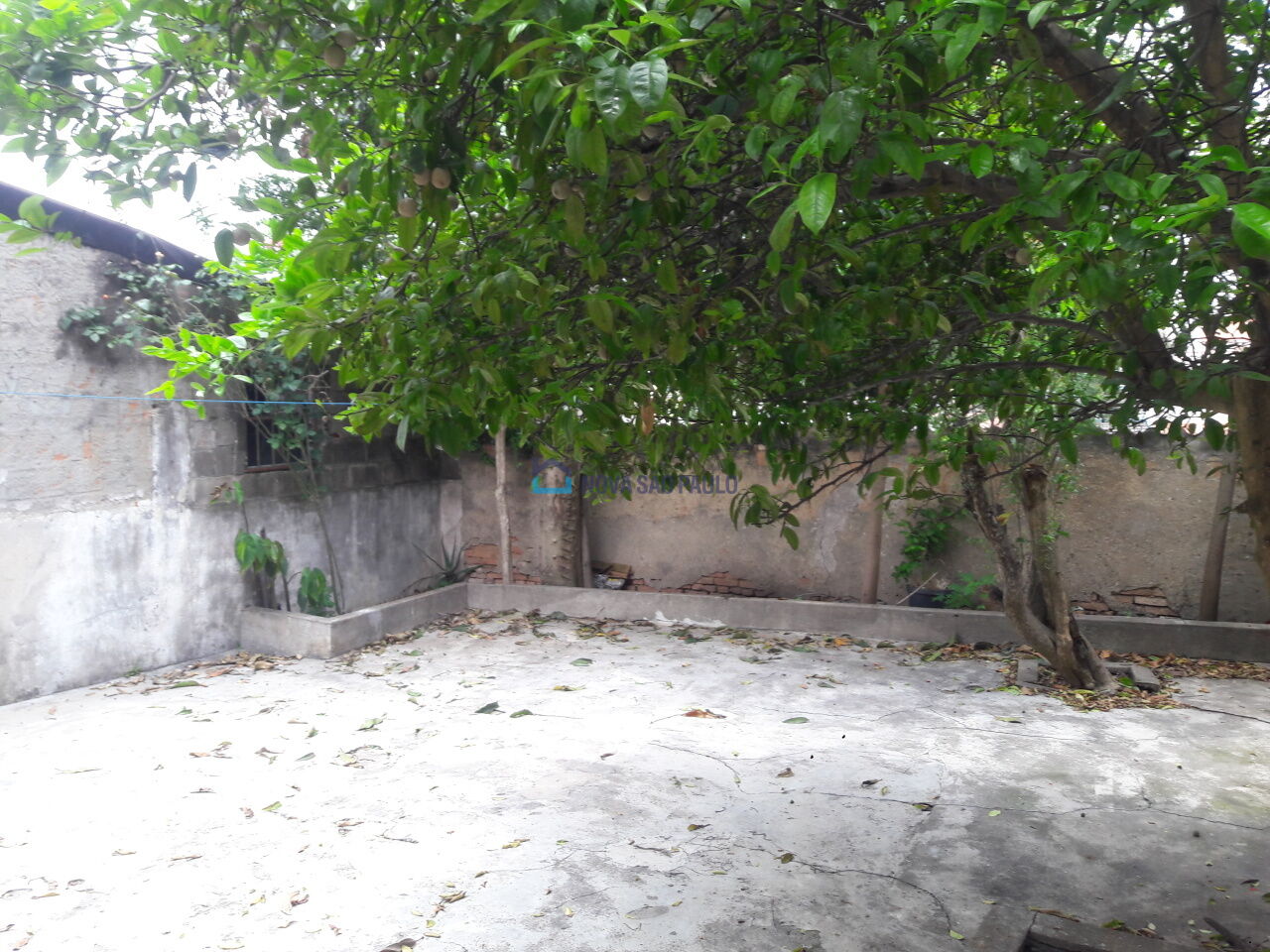 Foto 12 - JA44962