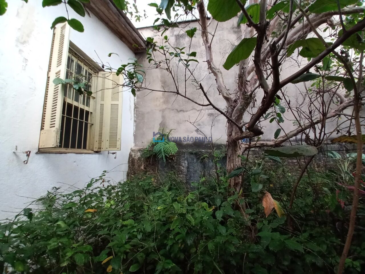 Foto 22 - JA45015