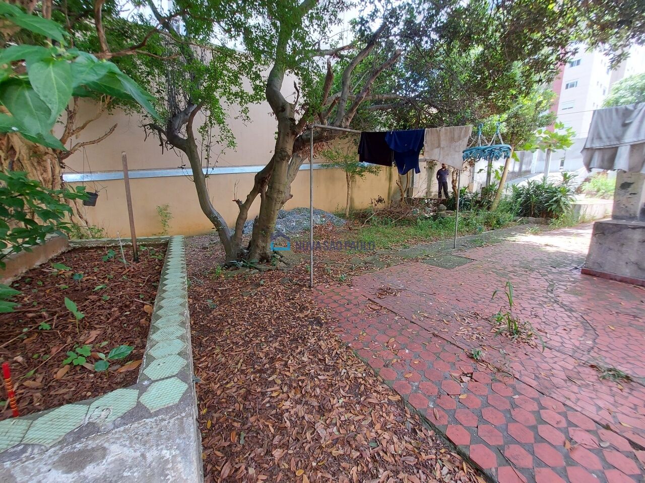 Foto 9 - JA45267