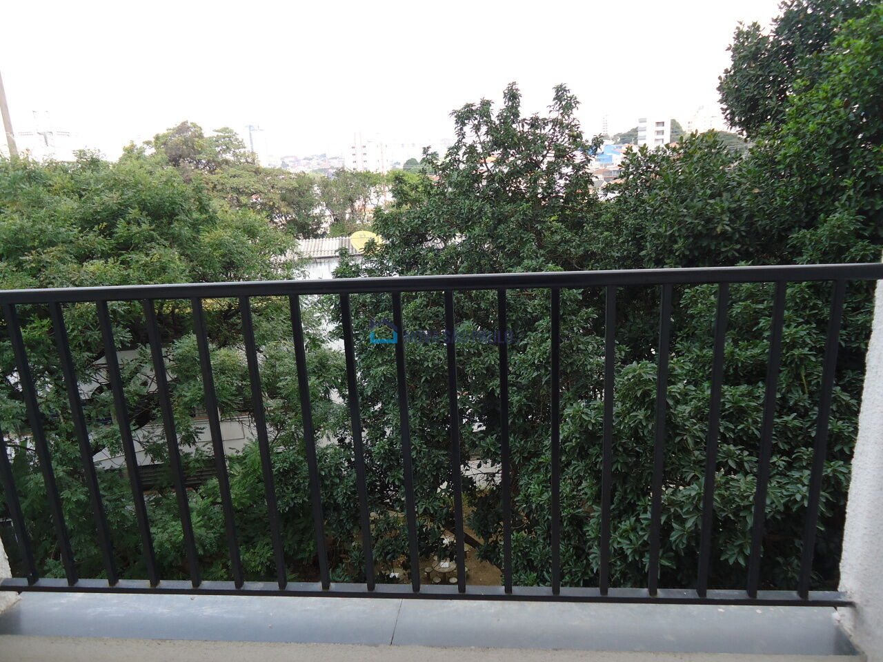 Foto 6 - JA45356