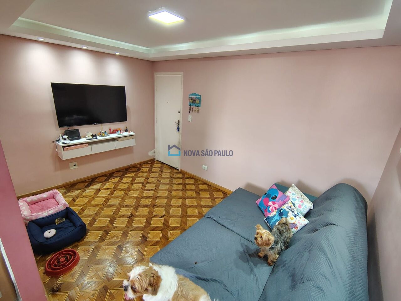 Foto 5 - JA45366