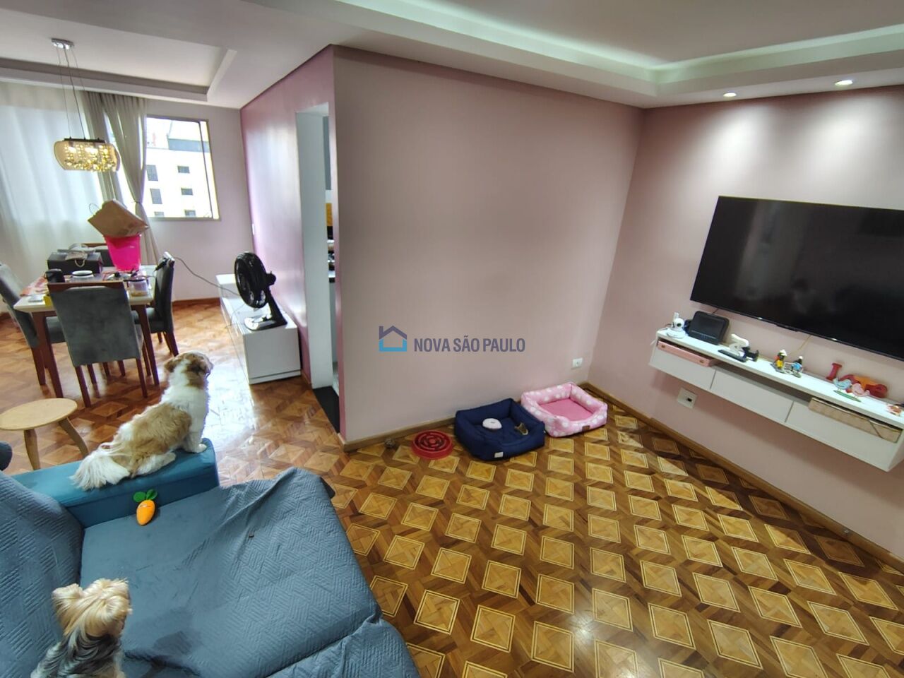 Foto 8 - JA45366