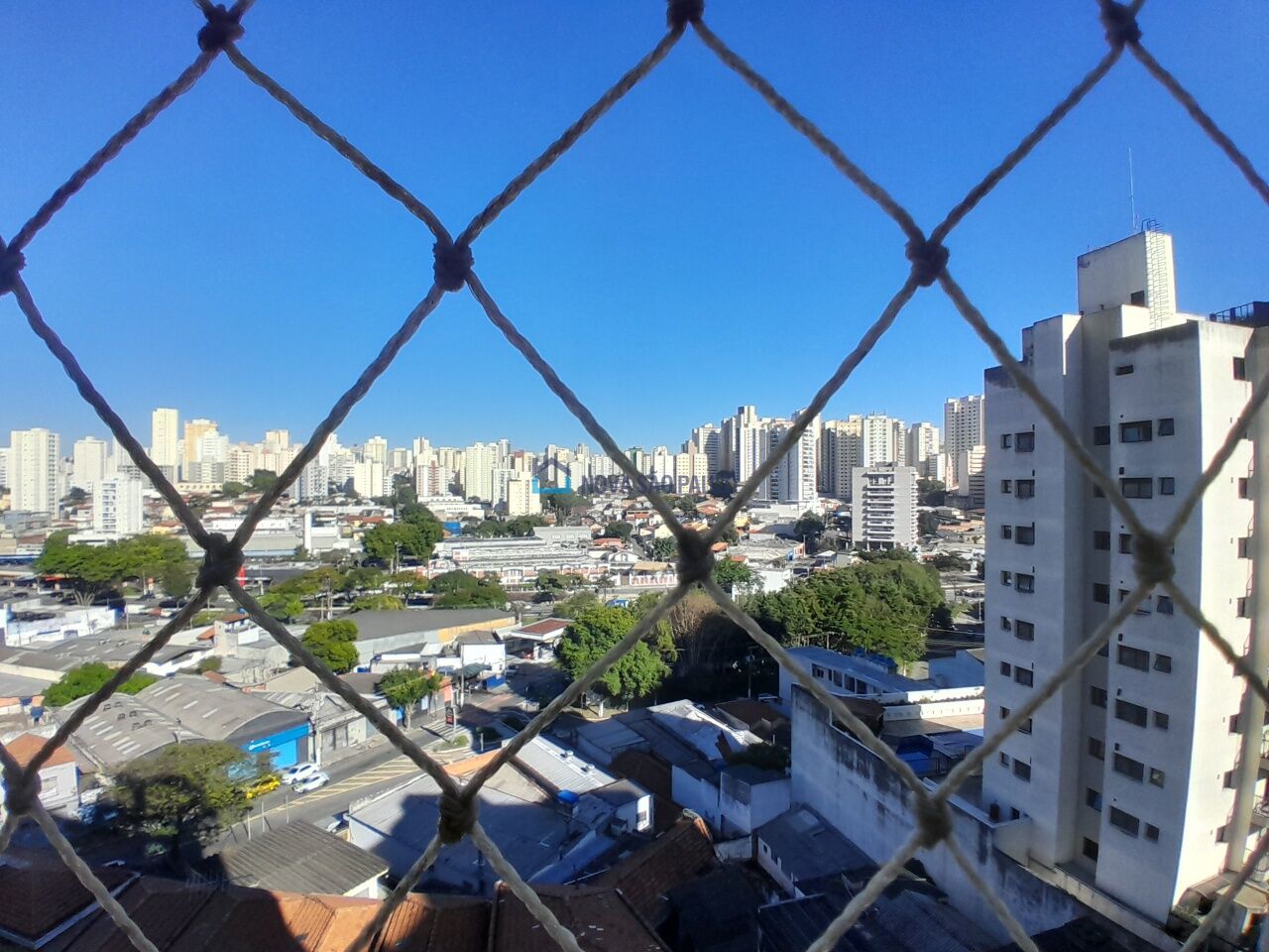 Foto 4 - JA45389