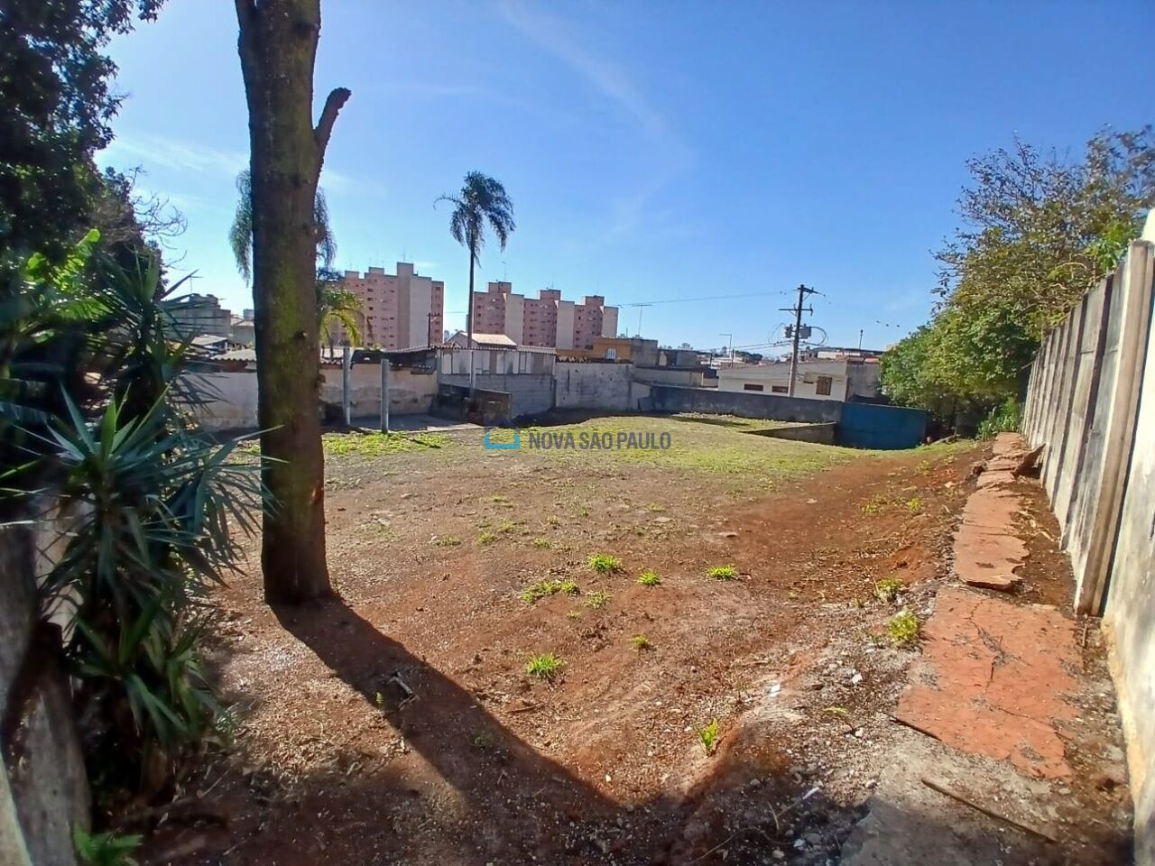 Foto 6 - JA45414