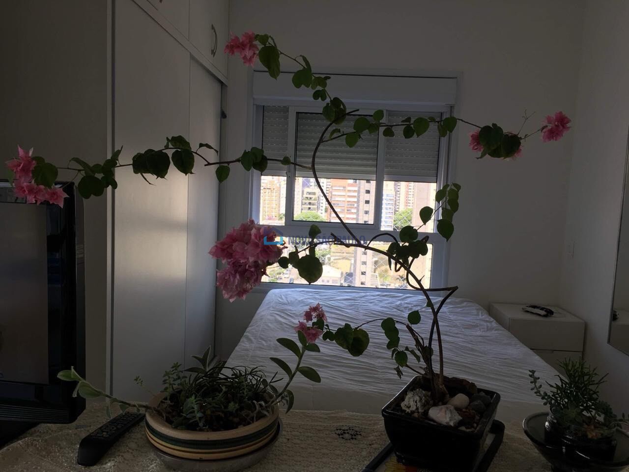 Foto 14 - JA45529