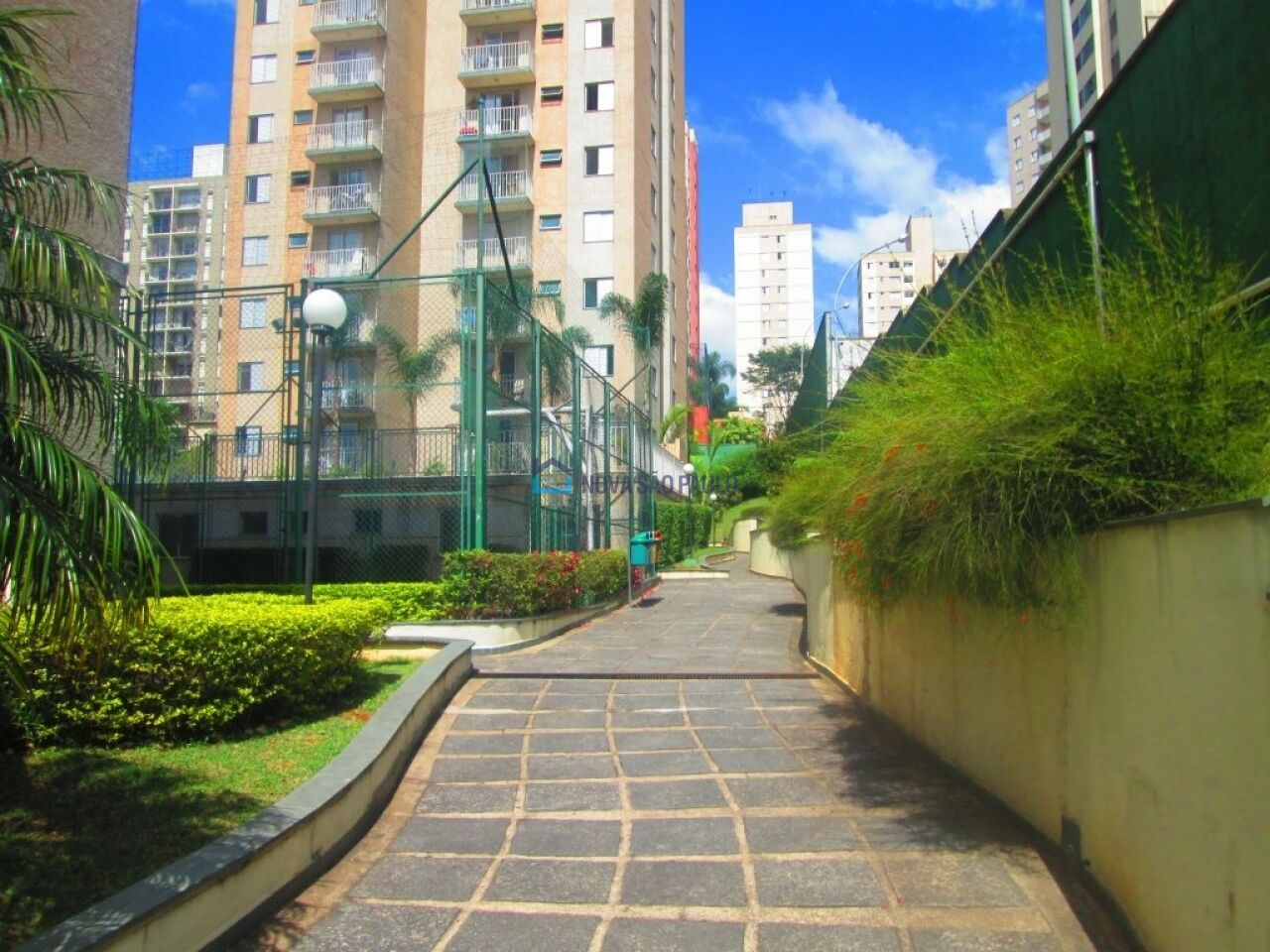 Foto 20 - JA45551