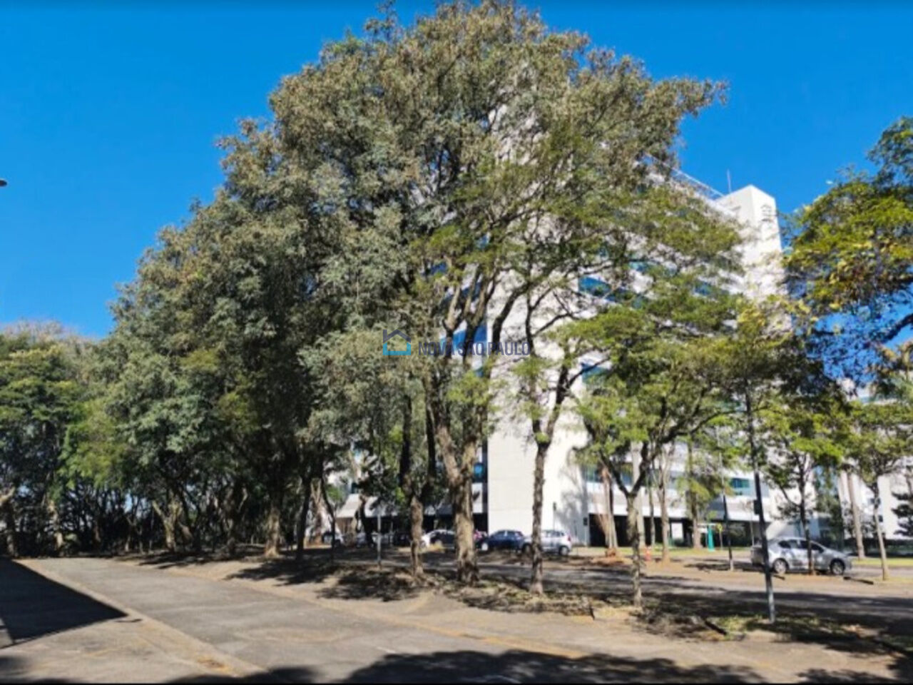 Foto 4 - JA45552