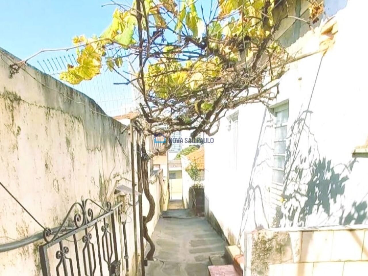 Foto 8 - MO10863