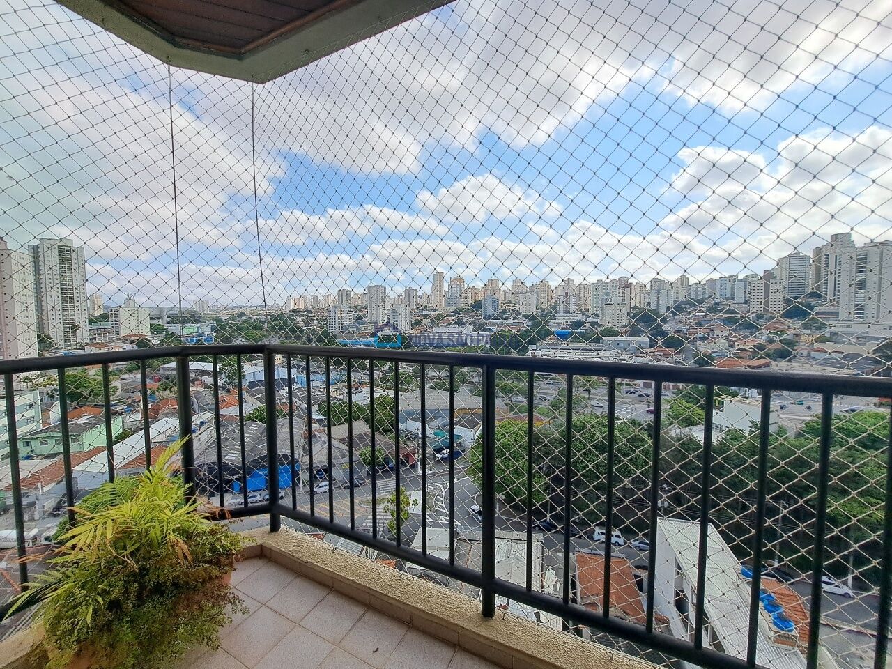 Foto 3 - MO14809