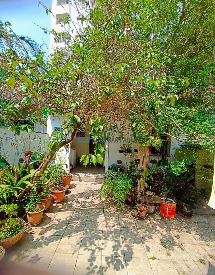 Foto 22 - MO16434