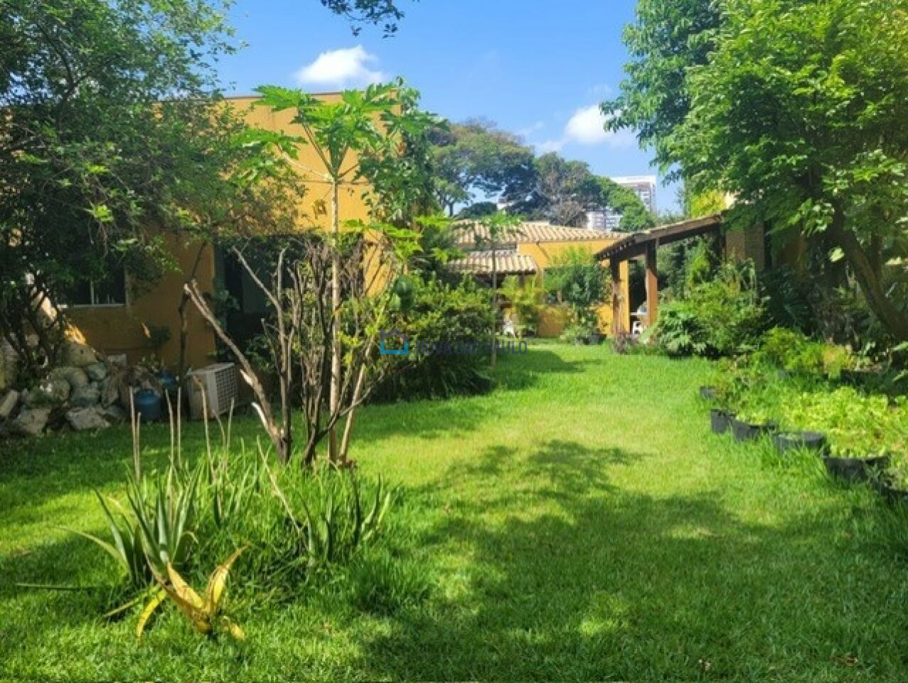 Foto 41 - MO16663